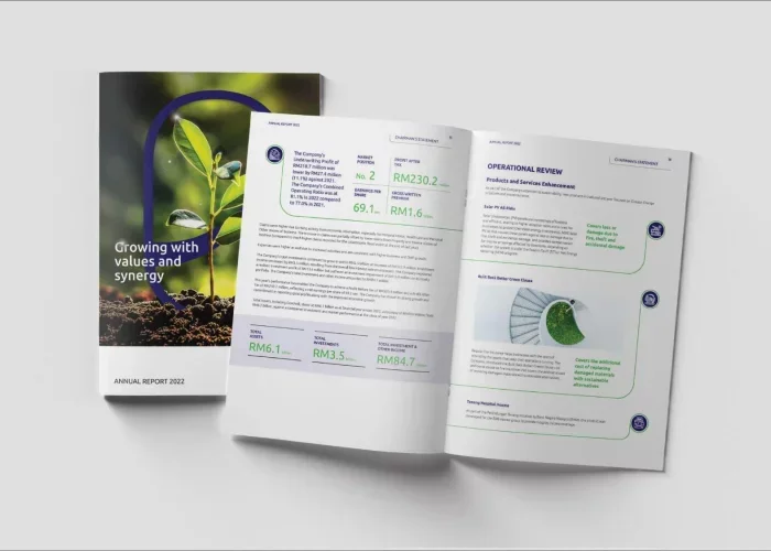 MSIG Insurance 2022 Annual Report for Insurance